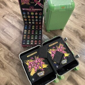Stoner Stix World Tour 2G Disposable | Wholesale Deals